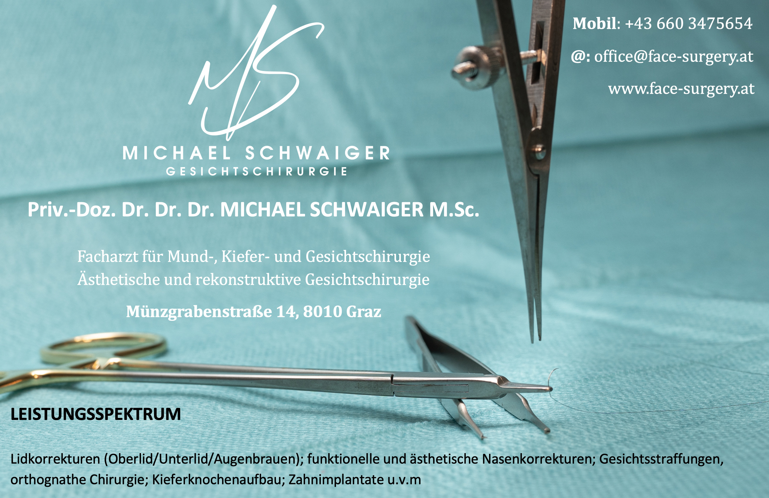 Logo Michael Schwaiger